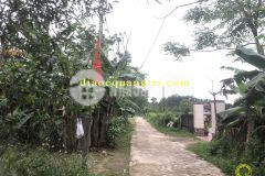 Nhà đất quảng trị mới nhất 2022 thôn vĩnh an, xã cam hiếu, huyện cam lộ, tỉnh quảng trị