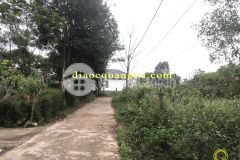 Bán đất nền giá rẻ nhất thị trường tại cam lộ quảng trị