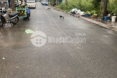 Bán nhà mặt tiền tl 818 tt thủ thừa