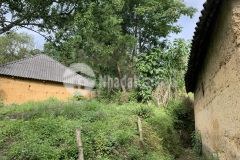 Mảnh đất hơn 1000m2 tại y tý, săn mây đón tuyết siêu đẹp