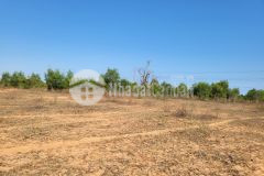 Tôi cần bán gấp hơn 6 xào đất bắc bình thuận giá chỉ 966tr. lh 0919 626 750