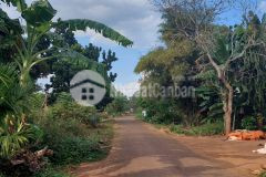 D208 bán đất hẻm cấp 2 nông trường mía xã hòa xuân khu hót