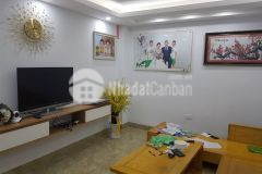 Cuc hiem bằng liệt, hoàng mai, vao o luon, 49m2 x 5t, gia chi 4,2 ty