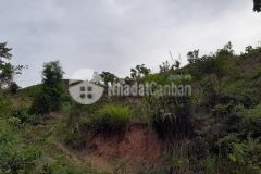 Mảnh đất rộng tới 10ha ở trung tâm mộc châu view cực đẹp