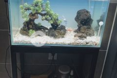 Bán nhà đẹp hẻm rộng q. tân bình, 4 lầu, chủ ở lâu năm. tặng nội thất.