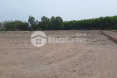 Hàng ngợp chính chủ cần bán gấp, chỉ 1 lô duy nhất