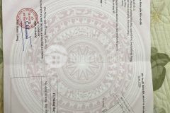 Giá chỉ 700 triệu, sở hữu ngay 51m2 đất tdp minh đức, đồ sơn