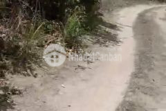 Tân tiến lagi 1 ha 3,4 tỷ lô 3 đường tây sơn