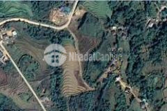 Y týsapa2 mua ngay để không bỏ lỡ như sapa2000m2 pháp lý đẹp giá của nđt nhay bén quỹ đất ở