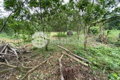 Bán gấp 2100m đất có 500m2 ont, sự đẳng cấp của nghỉ dưỡng nhà vườn