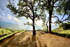 Đất nền y tý sapa 2, điểm đầu tư cực kì tiềm năng trong thời điểm này