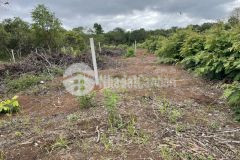 D223 bán đất xào thôn 3 xã eakao thông qua hồ eakao