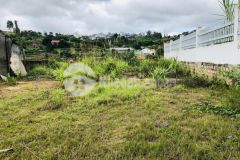 Em cần bán lô đất 300m2 mặt tiền nguyễn đình quân phường 5 đà lạt view đồi thông