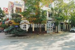 Bán biệt thự song lập 2 măt tiên làng việt kiều châu âu 147m2 22 tỷ