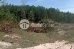 Tân tiến lagi 11,3 mẫu 36 tỷ hồ núi đất