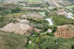 Cần bán đất đắk lắk chính chủ giá đầu tư siêu đẹp