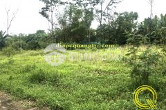 Cần bán đất đầu tư gía rẻ phú mỹ kiên triệu phong0328772473