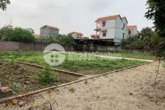 Chính chủ cần bán gấp lô góc 2 mặt tiền, đường 5m,51m2 hàn lạc, phú thị, gia lâm.