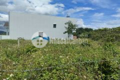 Bán gấp lô đất giá 450 triệu hỗ trợ trả góp 20 năm