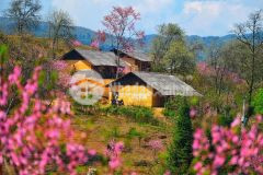 Bán mảnh đất tại tả phìn, sapa, view thung lũng, rừng già săn mây, giá hạt rẻ.