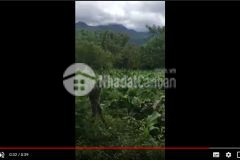 Mảnh đất có diện tích hơn 1000m2 tại trung tâm y tý thích hợp làm homestay