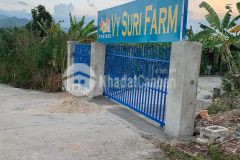 Đất vườn thổ cư sẵn ngang 11m cách ubnd diên khánh 1km chỉ 1.420 tỷ