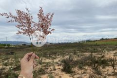 Chính chủ bán đất đơn dương, gần đà lạt view bao đẹp. sổ hồng riêng, pháp lí chuẩn lh 0833.732.741