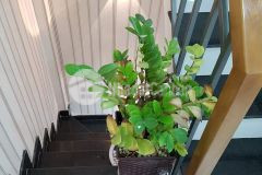 Cần bán gấp nhà nguyễn văn khối có 5 phòng trọ cho thuê thu nhập 18 triệu tháng