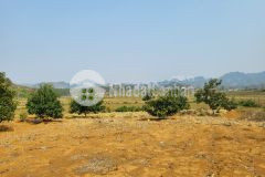 Cần bán lô đất 6000m2 tại bản áng mộc châu sơn la nhanh tay kẻo lỡ.