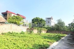 Em còn mảnh đất nhỏ xinh hoàng xá, kiêu kỵ, gia lâm cần bán ngay lấy vốn làm ăn