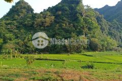 Bán 2300m2 đất trong đó có 1000m2 ont, còn lại là cây lâu năm