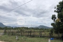 Bán mặt tiền đường sổ 6 cam thành bắc cam lâm khánh hoà