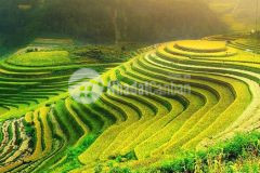 Đón sóng cao tốc hòa bình mộc châu, bán lô đất nền 668m2 tại chiềng đi cơ hội x3 tài sản.