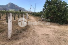 Kp 1 tân nghĩa hàm tân 190m 1,1 tỷ