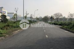 Đất đẹp hiếm giá rẻ khu đô thị trang hạ từ sơn bắc ninh dt 100m2. gía 33 triệu m2