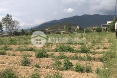 Đất chính chủ cần bán nhanh lô đất tại xã lạc xuân, huyện đơn dương, lâm đồng tổng diện tích 714m2