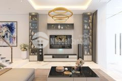 Kỳ quan bán nhà phố hào nam, oto thang máy 74m2x7t, chỉ 15 tỷ 3