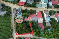 Đất mộc châu gần quốc lộ 43, có thổ cư đón sóng cao tốc, tiềm năng tăng giá lớn