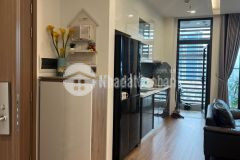 Cho thuê căn hộ vinhomes metrololis liễu giai