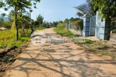 Bán đất diên lâm diên khánh giá đầu tư