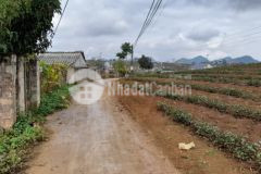 Bán đất nền mộc châu phù hợp làm second home, tiềm năng lãi vốn lớn, sổ sách rõ ràng.