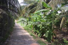 Đất thổ cư mỹ lương, mỹ phong giá chỉ 390 triệu