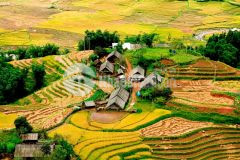 Đất nền sapa vị trí đắc địa giá chỉ từ tr1m2