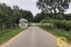 Mua bán đất cam lộ vị trí đẹp giá rẻ nhất thị trường