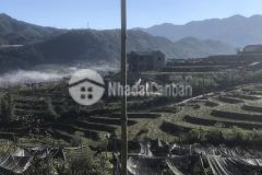 Đất nền sapa tà phìn có diện tích khoảng 742m2, diện tích lên thổ cư là 550m2 tại giàng tra.