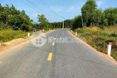 Bán đất mặt tiền tỉnh lộ 8 khánh bình khánh vĩnh