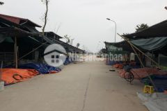 Đất đẹp giá rẻ kinh doanh tốt chợ keo kim sơn gia lâm dt 114m2. gía 40 triệu m2