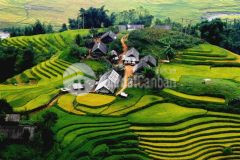 Cực hiếm bán lô đất vị trí đón đầu xu hướng thôn giàng tra, tả phìn cơ hội x3 tài sản.