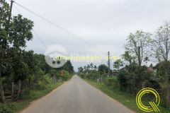 Mt lâm lang 3 cam thủy cam lộ0328772473