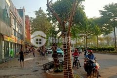 Bán nhà mặt phố trần vỹ, cầu giấy 60m2 3t mt6m 24 tỷ 0979312111